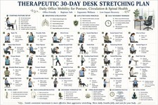 Listing image for 30 Day Desk Stretching Plan Office Mobility Posture Wellness Poster Art