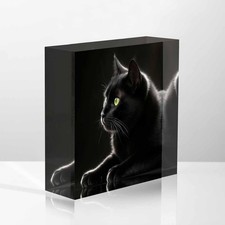Listing image for Acrylic Desk Plaque SignArt Black Cat FaceStand Home Office Table Desk Sign K...